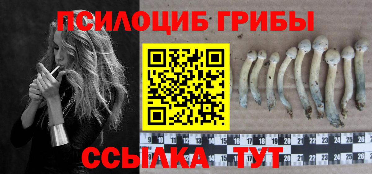 Назрань  где найти   Вход с VPN  Галлюциногенные грибы MAGIC MUSHROOMS 